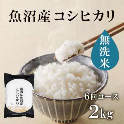 ふるさと納税 十日町市 【毎月定期便】魚沼産コシヒカリ無洗米(精米)[2kg×1袋]全6回