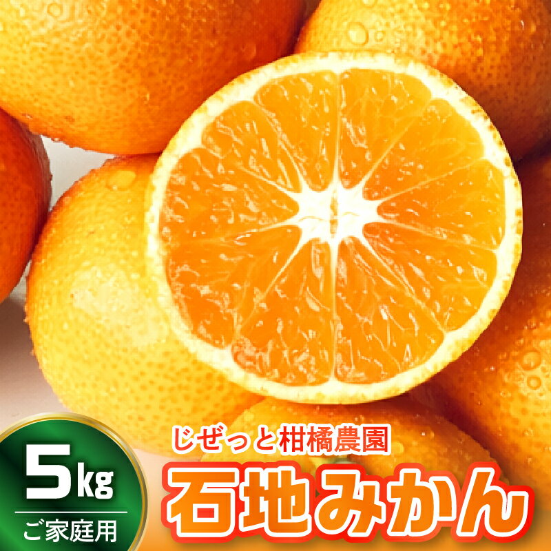 【ふるさと納税】先行予約 滴る 果汁 ・ 甘～い 石地みかん 5kg 家庭用 いしじみかん 温州みかん ミカン 蜜柑 柑橘 果物 フルーツ 2S〜LL 約55個 不揃い サイズ混合 糖度 甘み おいしい 産地直送 お取り寄せ 常温 送料無料 先行受付 広島県 呉市 【2026年11月上旬〜発送】