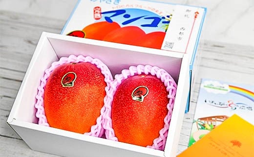 西都産完熟マンゴー  大玉4L×2 糖度12度以上 JA西都【先行予約 】＜2-45＞宮崎マンゴー 果物 フルーツ 甘い