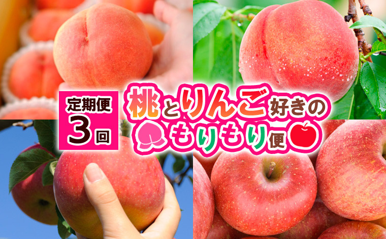 
            【定期便3回】桃とりんご好きのもりもり便 FY25-017
          