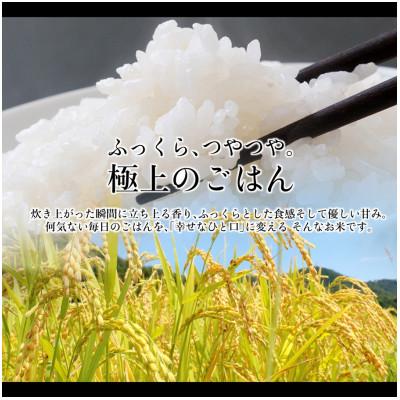 ふるさと納税 岡山市 岡山市産 きぬむすめ 5キロ 令和8年産