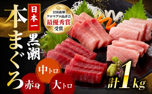 本マグロ3種セット (大トロ・中トロ・赤身)  約1kg  (高知道水)