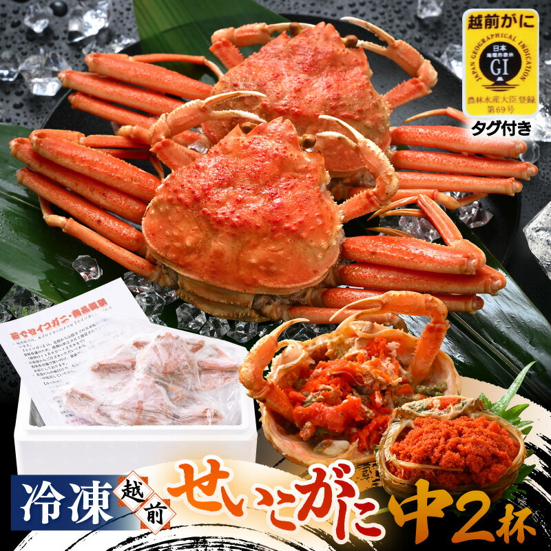 【ふるさと納税】《冷凍》獲れたて！茹でたての「越前セイコガニ中 2杯」を-60℃で急速冷凍しました！【越前がに 雌 ズワイガニ カニ 海鮮 魚介 セコガニ カニみそ】 [m17-a060]