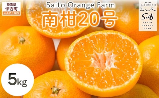 【先行予約】Saito Orange Farmの南柑20号5kg（2025年12月中下旬頃より順次発送） 【 ふるさと納税 人気 おすすめ ランキング みかん ミカン 蜜柑 柑橘 南果20号 フルーツ 果物 産地直送 西宇和 Saito Orange Farm 愛媛県産 愛媛県 伊方町 送料無料 】 IKTAQ018