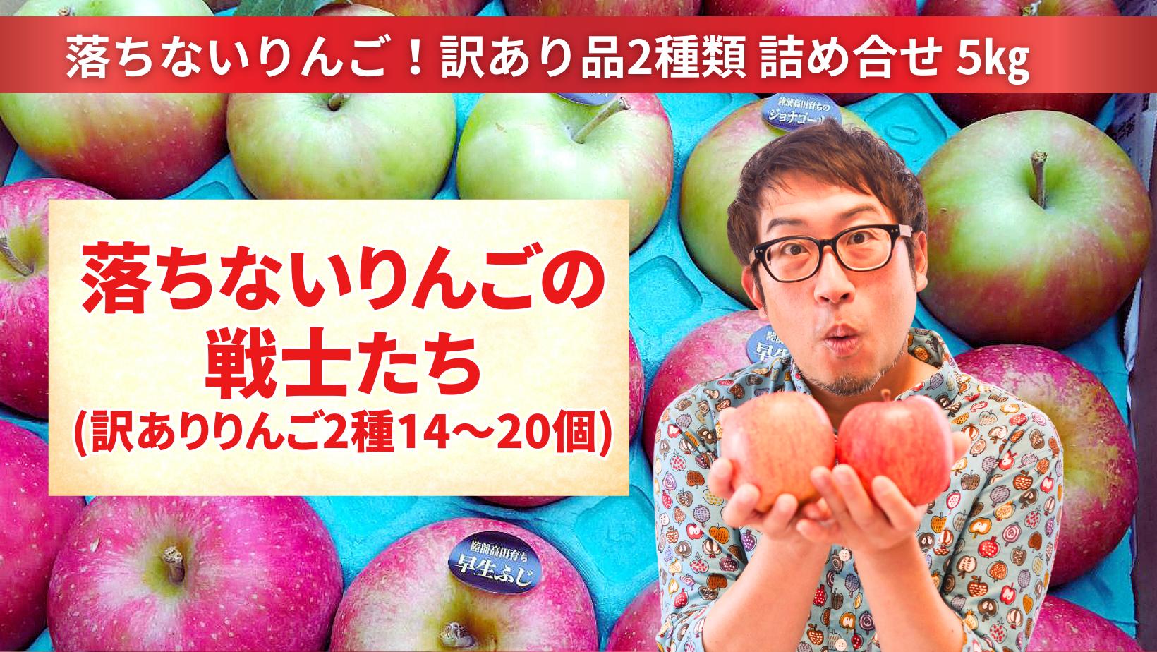 
                  先行予約 【訳あり品】 落ちないりんごの戦士たち 5kg 【 りんご 品種 おまかせ 2種類以上 旬 産地直送 岩手 陸前高田 】 RT2687
                