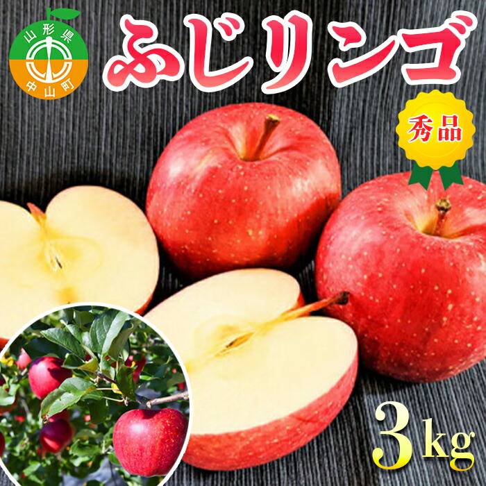 【2026年先行予約】山形県中山町産ふじリンゴ《秀品》 3kg 期間限定 数量限定 山形県産 フルーツ くだもの 果物 りんご 林檎 F4A-0108