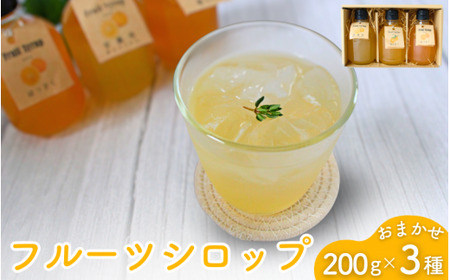 シロップ フルーツシロップ おまかせ3種セット（200g×3） 【ktr021】