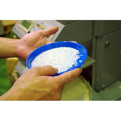 ふるさと納税 君津市 【新品種】千葉・粒すけ　10kg(大つぶ) |  | 02