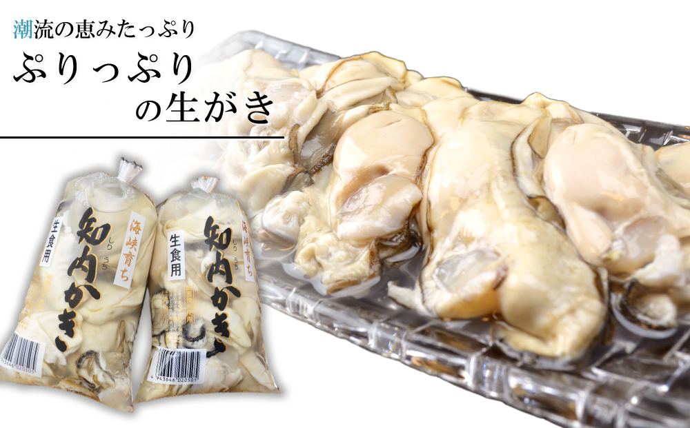 生かき むき身 350g×2本 ＜上磯郡漁業協同組合＞