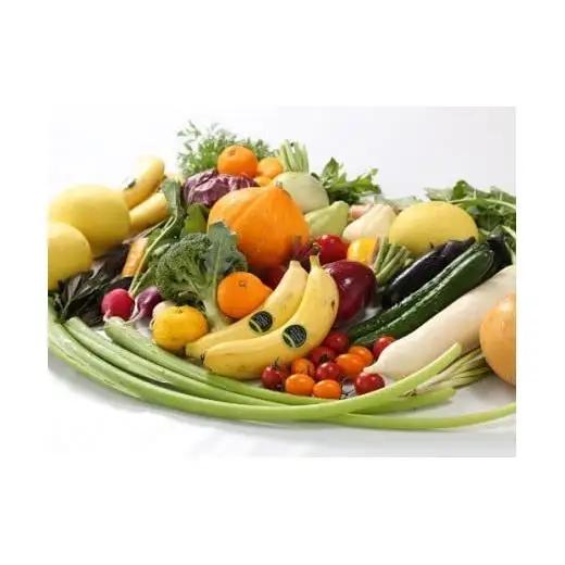 【 野菜 】 野菜8回定期便