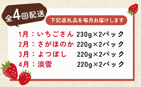 【2026年発送分 先行予約】【全4回定期便】いちご4品種食べ比べ（いちごさん・さがほのか・よつぼし・淡雪）/ いちご いちご いちご いちご いちご いちご いちご / 佐賀県 / 岸川農園 [41
