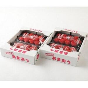 【先行予約 2026年1月以降発送】ふくおかエコ農産物認証!! あまおう 約1140g 約285g×4パック ＜筑前町＞