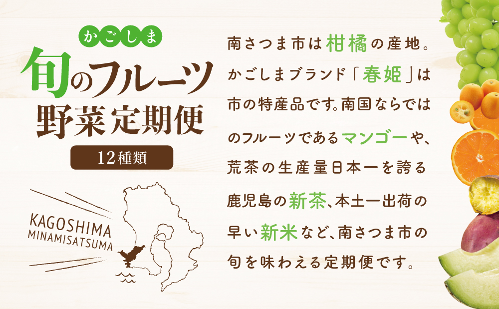 【定期便 全12回】旬のフルーツ・野菜 定期便 ［12種類］ 果物 フルーツ シャインマスカット マンゴー メロン みかん 野菜 米 定期配送 鹿児島県産