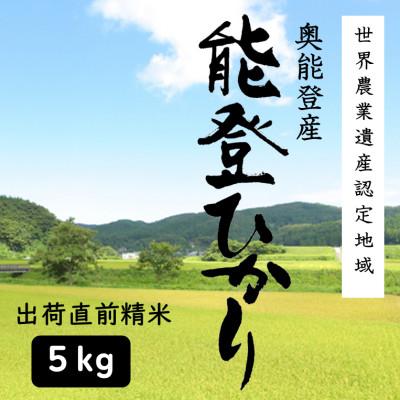 ふるさと納税 能登町 能登ひかり5kg【精米】