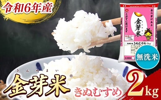 
            BG無洗米・金芽米きぬむすめ 2kg【令和6年産 お試し 節水 健康 ビタミン ミネラル つや お弁当 おいしい うまみ 甘み ふっくら 時短 簡単 少量 小袋 島根県 安来市】【価格変更】
          