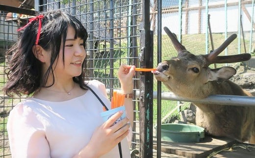 
栗山公園「なかよし動物園」パクパクタイム回数券（11回分）2枚セット　B007
