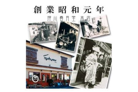 『押川春月堂本店』とろける生チーズケーキセット（チョコ×２個）【スイーツ ケーキ チーズケーキ チョコ 洋菓子ケーキ スプーンでケーキ  おまけつきケーキ】