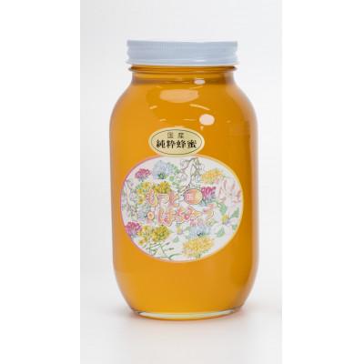 ふるさと納税 津山市 岡山県産 百花蜂蜜　1200g
