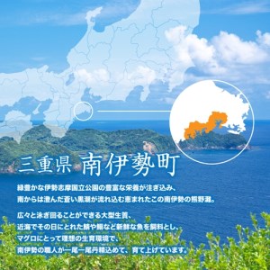 （冷凍） 本まぐろ 赤身 ねぎトロ 詰め合わせ２～３人前 【No.515】 伊勢志摩まぐろ食堂 ／ 本鮪 専門店 お刺身専用 粗びき塩 三重県 南伊勢町