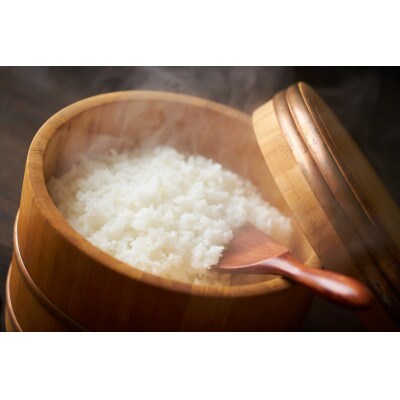 【発送月固定定期便】湯川村産コシヒカリ 精米10kg(R8.11月・12月・R9.1月-4月)全6回