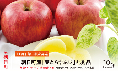 ＜ 先行予約 ＞ りんご 葉取らず ふじ 丸秀品 約 10kg 26～40玉 【2026年11月下旬から12月下旬発送】 山形県 朝日町産 山形県産 果物 フルーツ リンゴ 林檎 秋 冬