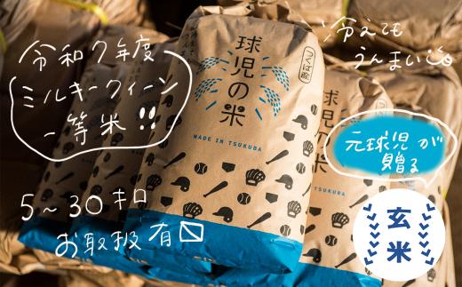令和7年産 一等米 球児の米 ミルキークイーン 玄米 5kg | 米 こめ コメ お米 ご飯 白米 茨城県 つくば市