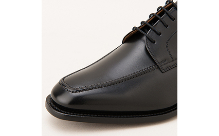 スコッチグレイン 紳士靴 「アシュランス」 NO.3529 メンズ 靴 シューズ ビジネス ビジネスシューズ 仕事用 ファッション パーティー フォーマル 25.5cm