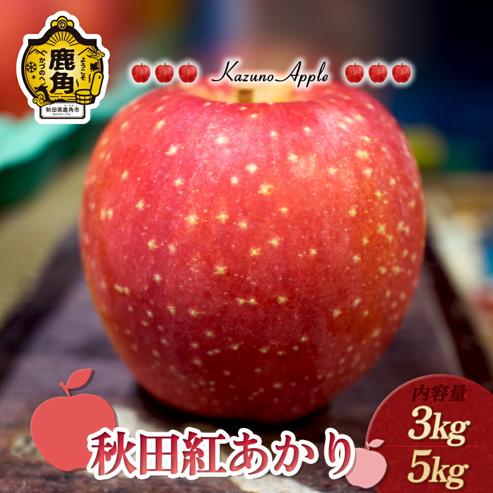 【ふるさと納税】《 先行予約 》 りんご 鹿角りんご 「 秋田紅あかり 」選べる 3kg ／ 5kg 贈答用 りんご リンゴ 林檎 みずみずしい 果汁 リンゴ 林檎 完熟 旬 県産りんご お中元 お歳暮 お見舞い グルメ 故郷 秋田県鹿角市産 送料無料 【佐藤秀果園】