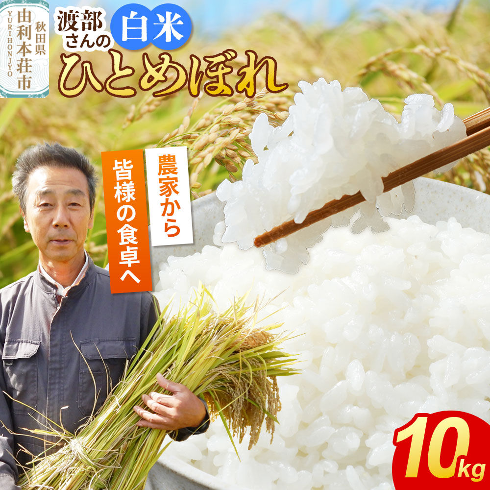 【ふるさと納税】【白米】 ＜通算5回 特A＞ ひとめぼれ 10kg 令和7年産 農家直送 渡部さんのひとめぼれ [ひとめぼれ 米 お米 こめ 白米 精米 ブランド米 食卓 おにぎり 秋田県産 秋田県 由利本荘市]