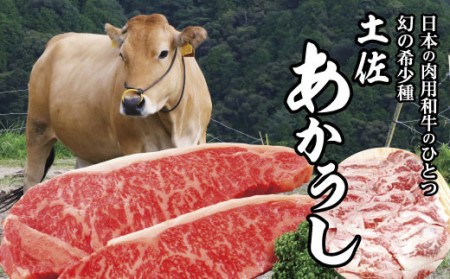 【四国一小さなまち】高知が誇る幻の和牛「土佐あかうし」サーロインステーキとスライスセット