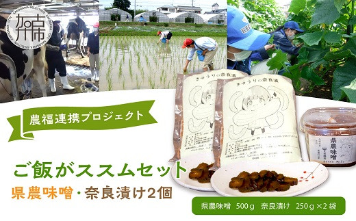 
            「農(学)福連携プロジェクト」ご飯がススムセット　県農味噌・奈良漬け2個【2400I03103】
          