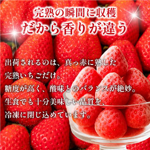 いちご 冷凍 オーガニック 1kg B品 いちご