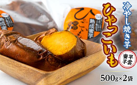 
【早雲蜜芋】冷やし焼き芋「ひゃっこいも」500g×2袋
