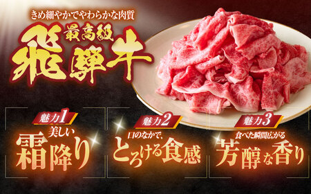 【12回定期便】 ※冷蔵配送/地域限定※ 飛騨牛 切落し (モモまたはカタ) 700g 瑞浪市 / きなぁた瑞浪 和牛 国産 岐阜県産[AZCI076]