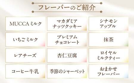 MUCCAジェラート　18個セット_mk024-002