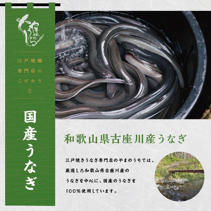 【定期便3回 毎月発送】〈うなぎ専門店やまのうち〉江戸焼き うなぎ 白焼き 2尾 和歌山県 うなぎ国産 冷凍 白焼 うな重 ひつまぶし わさび 山椒 土用の丑の日 ウナギ 白浜町 ふるさと納税 鰻 国