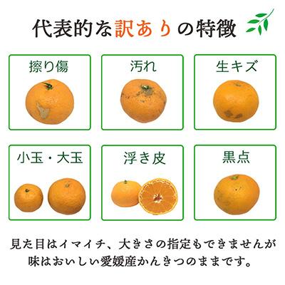 ふるさと納税 八幡浜市 【発送月固定定期便】愛媛の人気品種を厳選! みかん定期便(訳あり)全8回【H25-117】 |  | 03