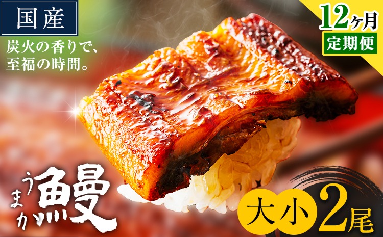 【12ヶ月定期便】うなぎ 大小 2尾  国産 鰻 真空パック おすすめ うなぎの蒲焼 《お申込み翌月から出荷》 ふるさとのうぜい 特上 簡易包装 ウナギ unagi 蒲焼 秋 冬 旬 配送時期 冷凍---mifune_lcl_1338_mo12---