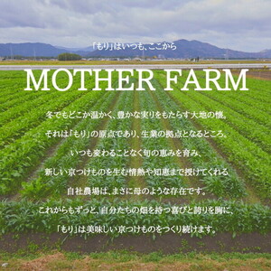 漬物 京つけものもり 千枚漬 1kg・赤かぶら千枚 0.5kg 計1.5kg 京漬物 野菜