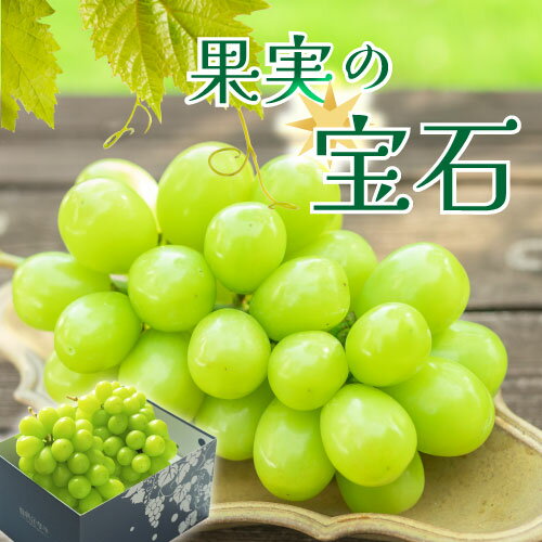 【ふるさと納税】 シャインマスカット 2026年 先行予約 2房 約1kg 果物 冷蔵 クール 厳選 産地直送 期間限定 8月 9月 10月 発送 フルーツ くだもの ぶどう 葡萄 ブドウ 新鮮 人気 マスカット 化粧箱入 ギフト 贈答 家庭用 山梨県 甲州市 社員マスカット （VYD） 【B13-885】