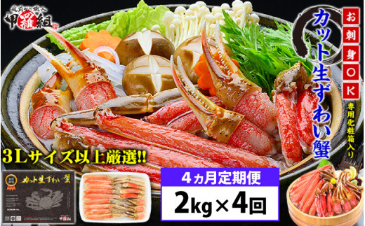 【4か月連続お届け】【生食OK】極太サイズ限定！カット生ずわい蟹 内容量1000g／総重量1300g×２【甲羅組】