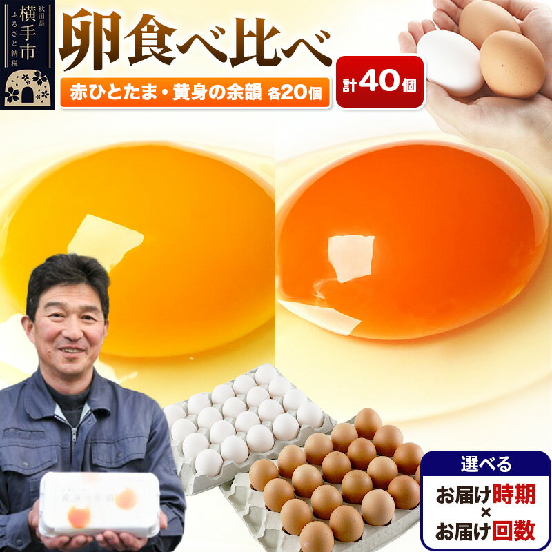 【ふるさと納税】【常温発送】赤ひとたま 20個・黄身の余韻 20個 計40個（業務用）【選べる開始時期×お届け回数（定期便）】東海林養鶏場 赤ひとたま 黄身の余韻 卵 玉子 たまご タマゴ 配送時期選べる お届け回数選べる 定期便