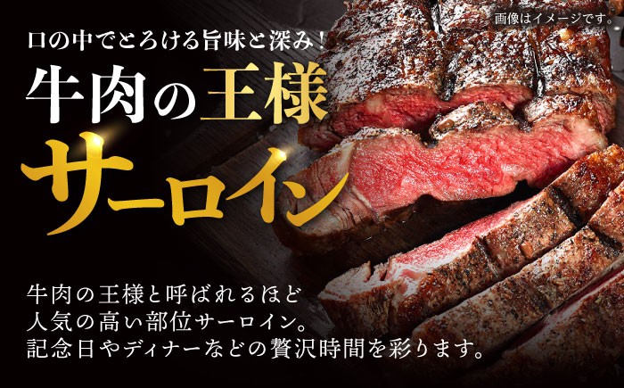 牛肉 ぎゅうにく サーロイン ステーキ すてーき 焼肉