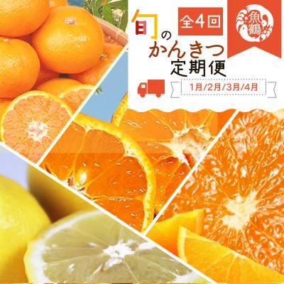 ふるさと納税 広川町 【発送月固定定期便】紀州和歌山産旬のフルーツセット(みかん・不知火・レモン・清見)全4回