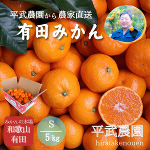 農家直送！有田みかん（5kg Sサイズ 秀品）平武農園　～蛍飛ぶ町から旬の便り～