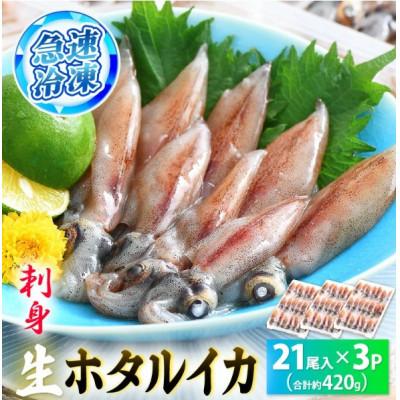 ふるさと納税 越前町 【のし付き】【越前海岸・美味直送シリーズ】ホタルイカ(刺身・しゃぶしゃぶ用) 約420g