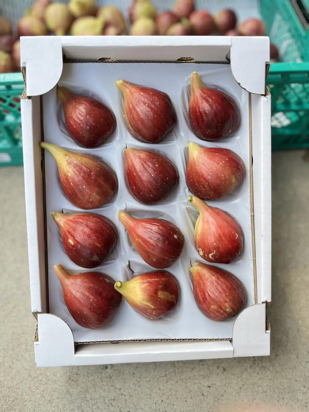 【先行予約】上品な甘みとうまみ！林柿園のいちじく うましずく12個 1.2kg | 無花果 イチジク 果物 くだもの フルーツ 生 甘い 朝ごはん 朝食 デザート お取り寄せ 国産 産直 岐阜県 瑞穂