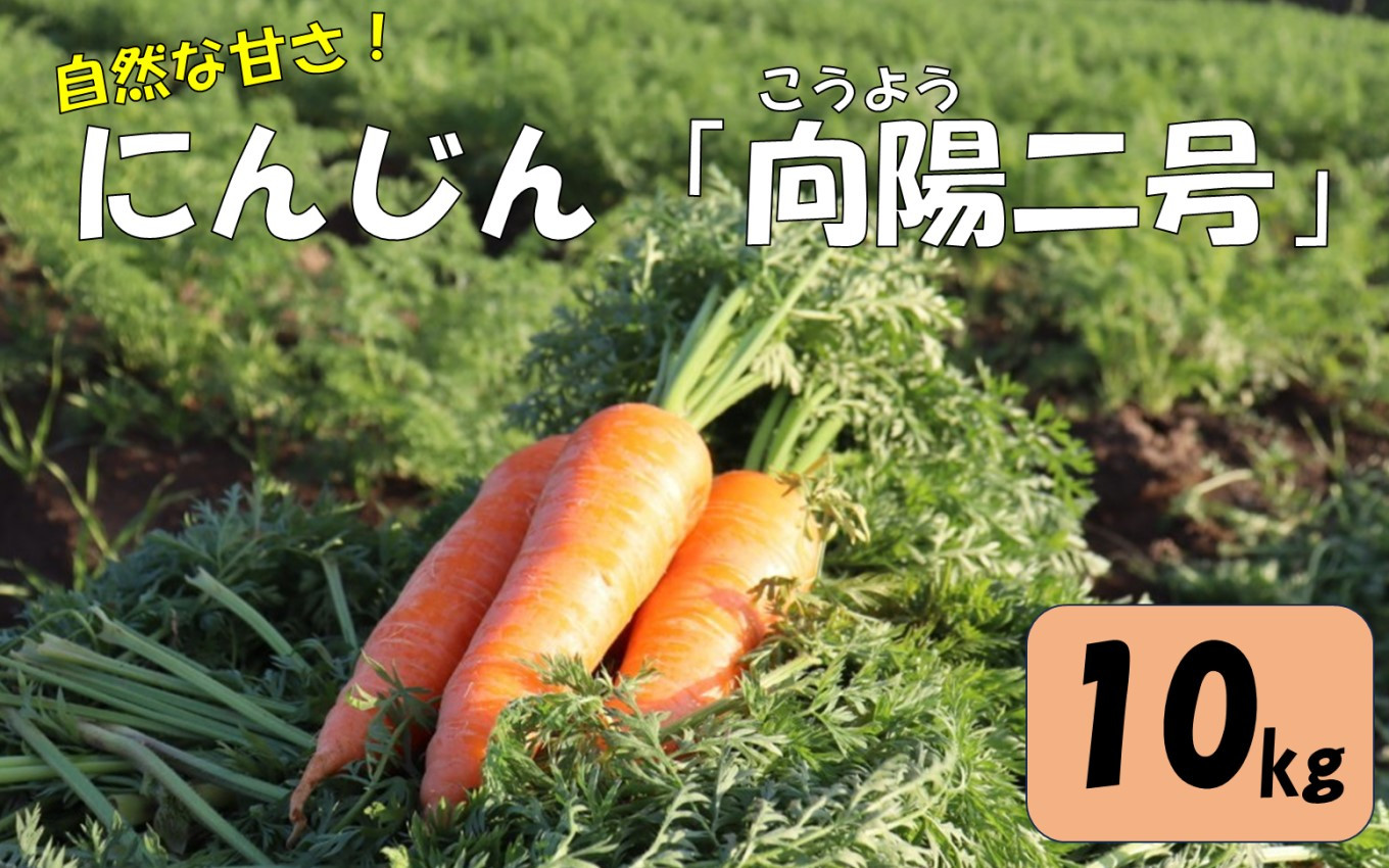 
                  AS-062 【季節限定】農家直送 人参 向陽二号 A品 10kg
                