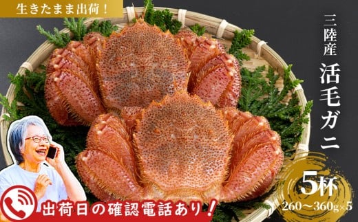 fc-40-018 【出荷前にお電話します！】 活毛ガニ 5杯 （260g～360g×5） 三陸産 【令和8年2月上旬～4月頃お届け】ヤマコー片桐鮮魚店
