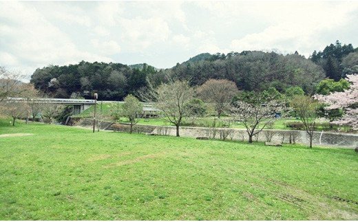No.050 知明湖キャンプ場利用券